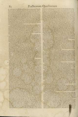 82