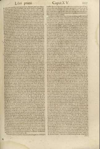 207