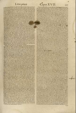 217