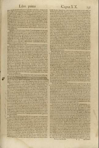 231