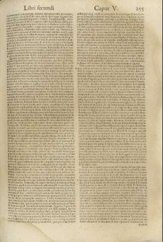 255