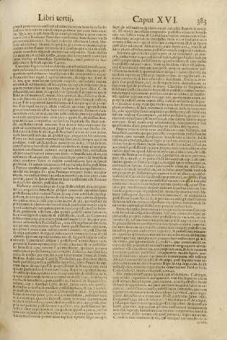 383