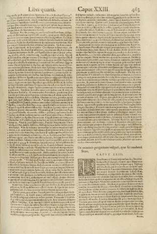 463