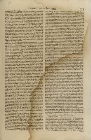 255