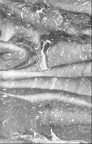 [Guarda]