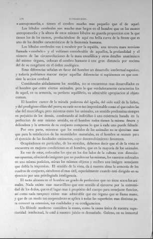 XVI