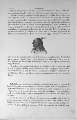 XXVIII
