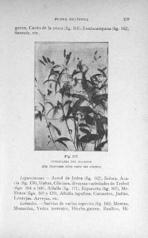 459