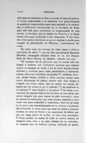 XXVIII
