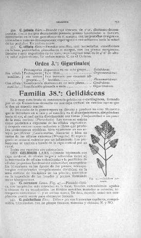 253