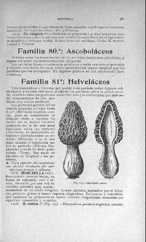 381