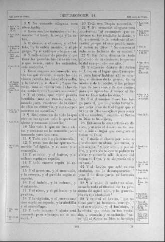 241