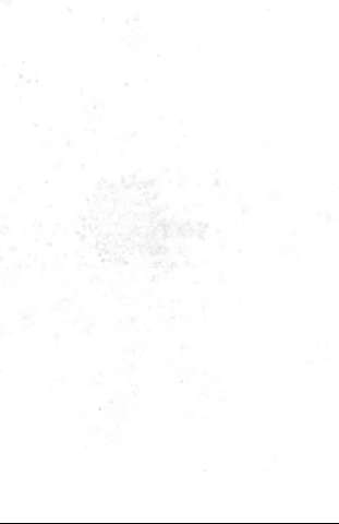 328