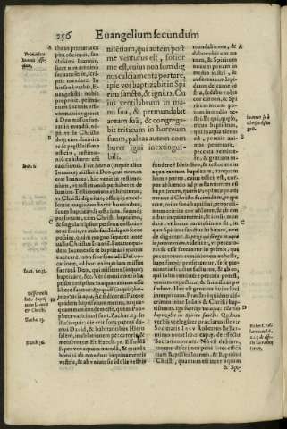 256