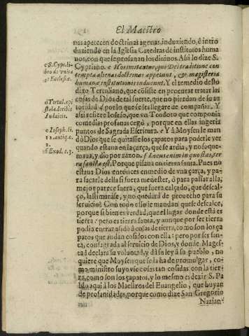 151v