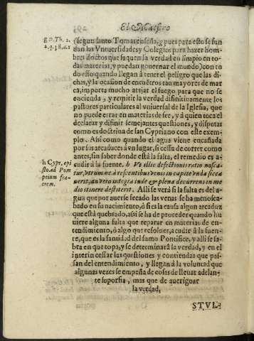 293v