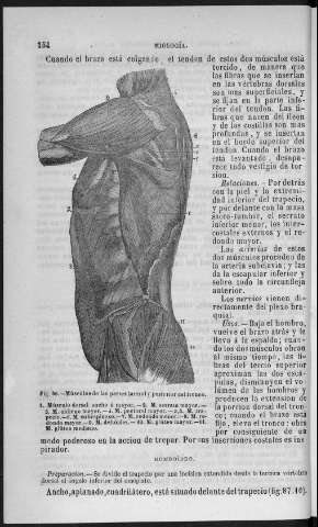 154