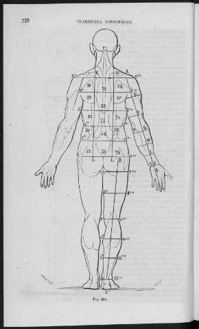 758