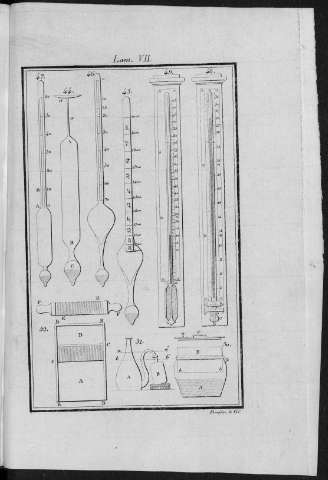 Lam VII