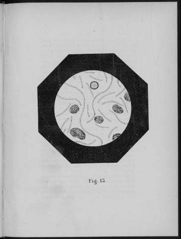 Fig. 15