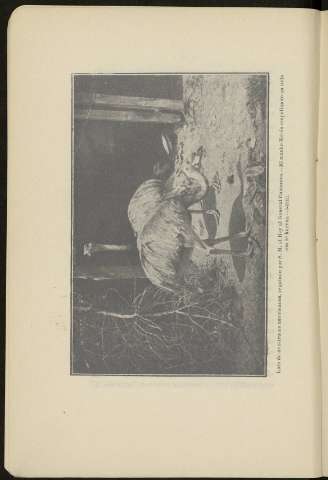 76
