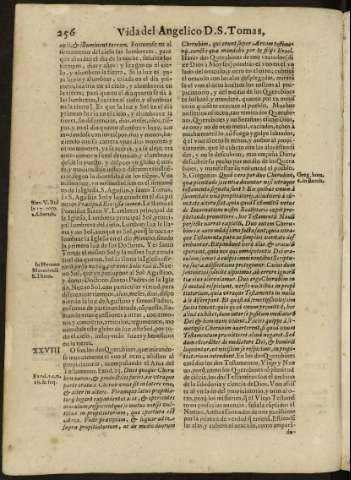 256