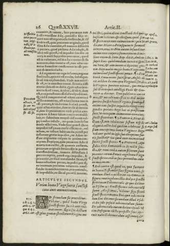 26