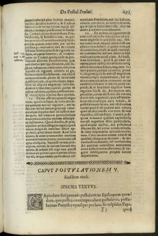 293