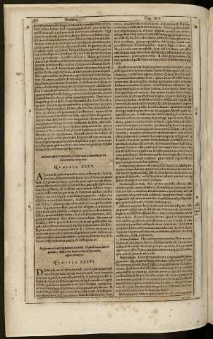 232
