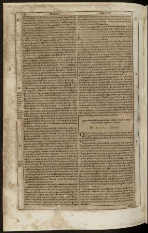 262