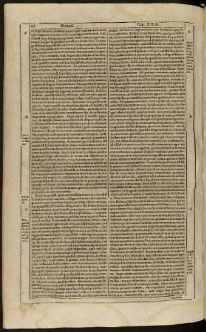 256