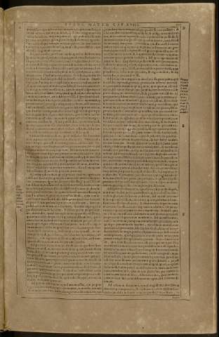 117
