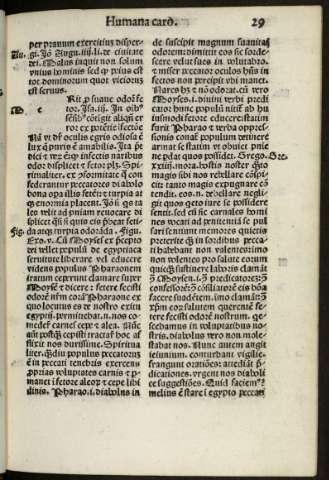 29r