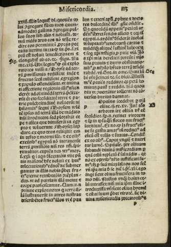 113r