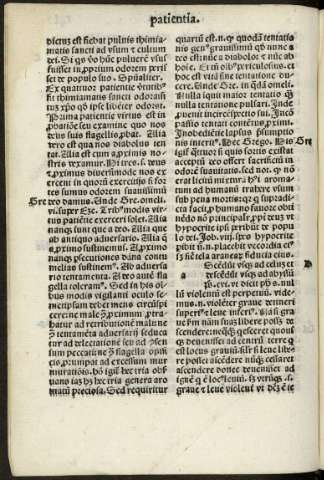 141v