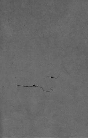 [Guarda]