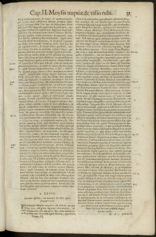 31
