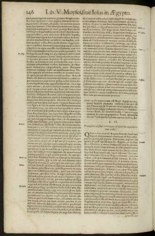 146