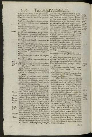 256