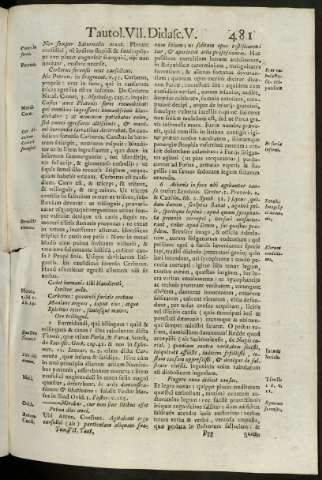 481