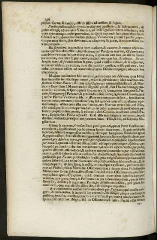256