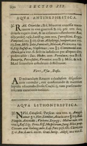 290