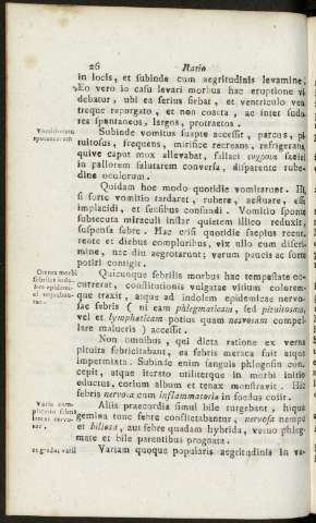 26