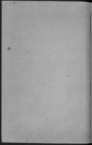 310