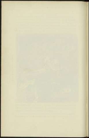 262