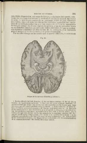 235