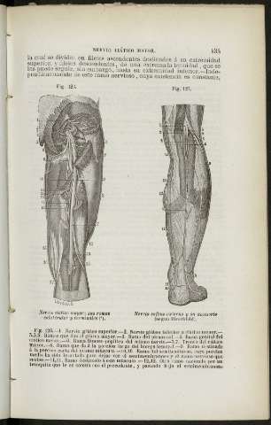 435