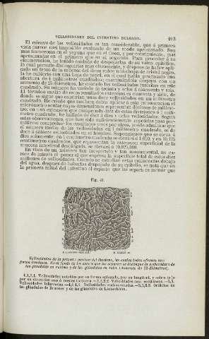 203