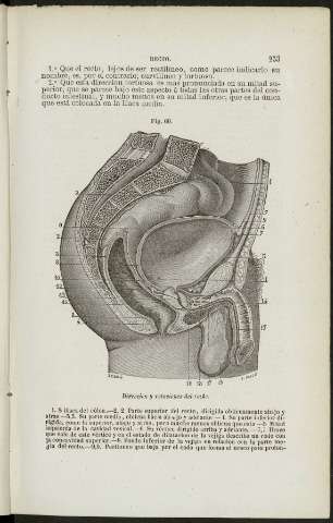 253