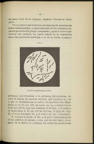 147
